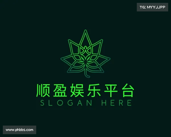 介绍顺盈平台